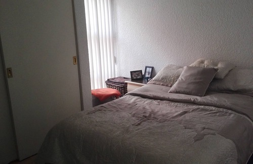 Coyoacán Apartamento | Bonito apartamento al sur de México Ci