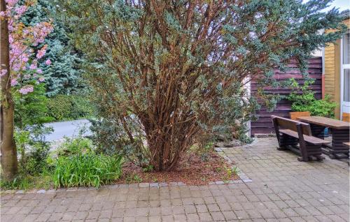 Kleingießhubel Apartamento | Nice Apartment In Bad Schandau- Kleing