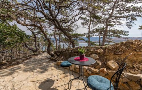 Bosana Apartamento | Nice Apartment In Novalja With Kitchen