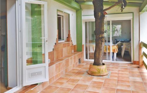 Sagone Apartamento | Nice Apartment In Sagone With Kitchen