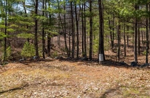 Neillsville Alquiler De RV | Nice camp site located on the Riviera Resort