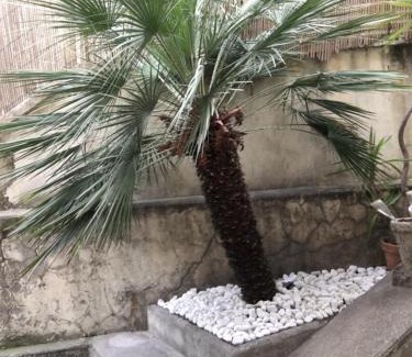 Mantega Apartamento | Nice Grand appartement face jardin