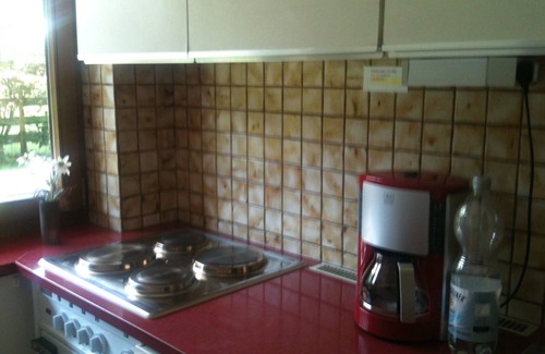 Langenwang Apartamento | Grande, luminoso casa de 2 ZKB, a la altura de una gran terraza de sol (sudoeste)