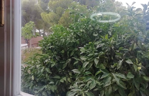 Spetses Casa | Nice house with sea view in Spetses, Greece