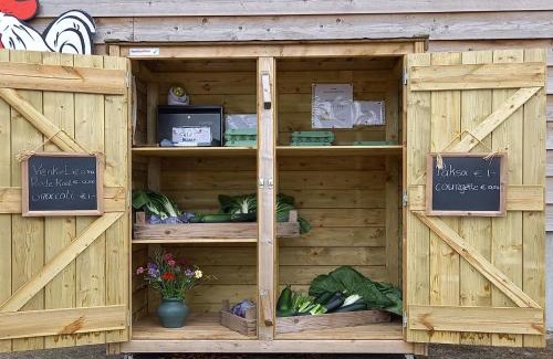 Municipality of Oirschot Casa | Nice Tiny Home located next to its own food forest