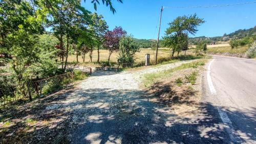 Dernice Casa | nickland