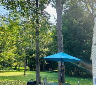 Fenton Casa | Nickz Cozy Cabin