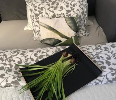 Krowodrza Apartamento | Nico Apartments