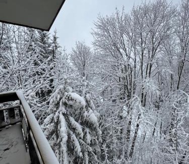 Faidello Apartamento | Nido Alpino Pulicchio
