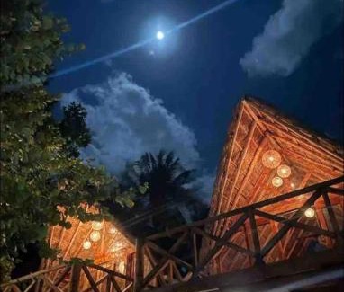 Puerto Morelos Apartamento | Nido BY puerto morelos