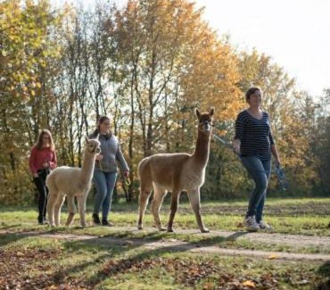 Haiming Apartamento | Niedergerner Alpaka Ranch