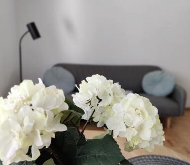 Ylamylly Apartamento | Niinivaara apartment saunallinen ja ilmastoitu majoitus