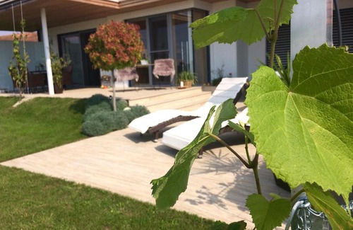 Sankt Veit in der Sudsteiermark Casa | Nikolaier Weinblick - Ferienwohnung Muskateller