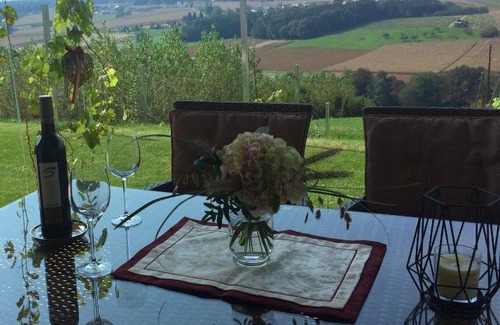 Sankt Veit in der Sudsteiermark Casa | Nikolaier Weinblick - Ferienwohnung Muskateller