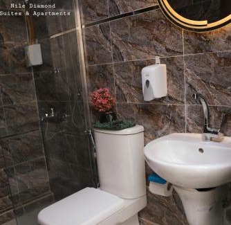Al Manial Hotel | Nile Diamond Suites