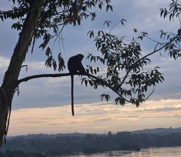 Jinja Apartamento | Nile river cottages