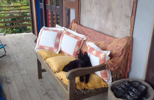 Morrinhos Casa | Nina's House