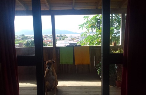 Morrinhos Casa | Nina's House