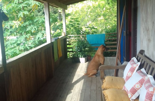 Morrinhos Casa | Nina's House