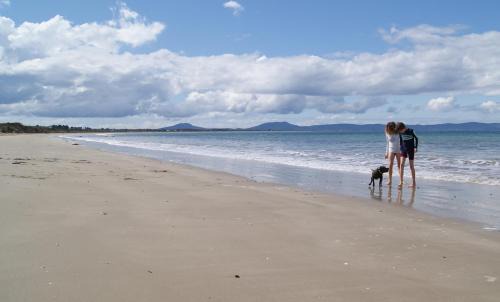 Dolphin Sands Casa | Nine Mile Escape
