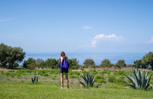 Ricadi Apartamento | Ninea Panoramic Family Apartments - large pool with sea view