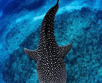 Exmouth Casa | Ningaloo Lodge Exmouth