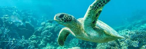 Exmouth Casa | Ningaloo Lodge Exmouth
