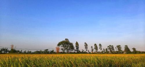 Yen Khanh Casa | Ninh Binh Riverside Family Homestay