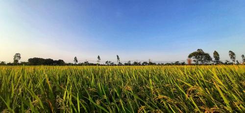 Yen Khanh Casa | Ninh Binh Riverside Family Homestay