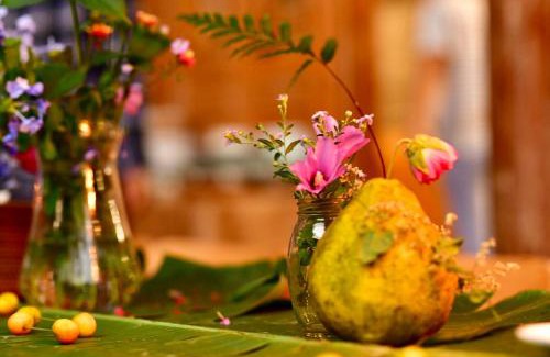 Yangshuo Hotel | Nirvana Organic Farm Inn
