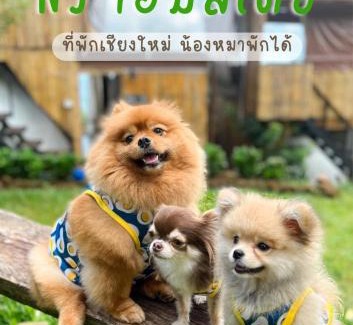 Mae Rim Casa | Nj homestay