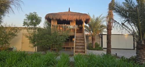 Ras Al Khaimah Casa | NMY Farm2