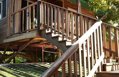 Kribi Cabina | Noah's hut in a hundred-year-old mango tree