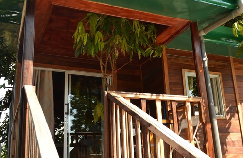 Kribi Cabina | Noah's hut in a hundred-year-old mango tree