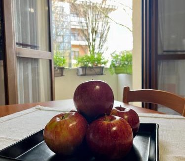 Noale Apartamento | NOALE HOUSE