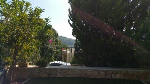 Kfar Vradim Cabina | Noam Hamargalit