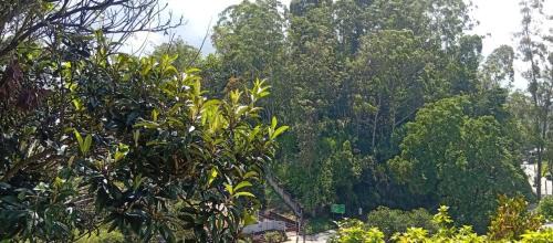 Bandarawela Casa | Nobel regency bandarawela