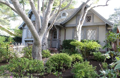 Golden Rectangle Casa | Nobodys Perfect In the Heart of the Golden Rectangle 5 blocks to Beach and Town no hills