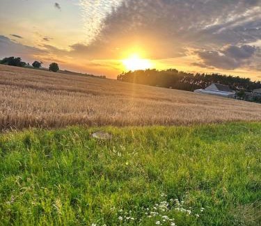 Wagrowiec Casa | Noclegi Bartodzieje 56