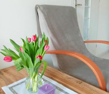 Lwowek Slaski Apartamento | Noclegi, Słoneczne Mieszkanie we Lwówku Śląskim