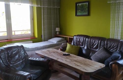 Tomice Apartamento | Noclegi w pobliżu Energylandii - Agroturystyka Radocza Ogród