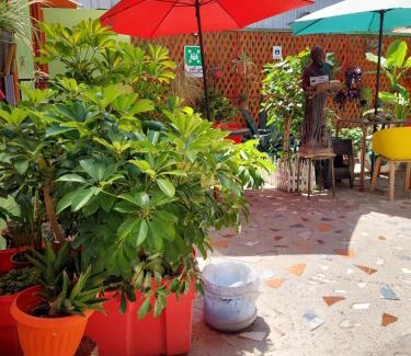 Los Vilos Apartamento | Noface 7