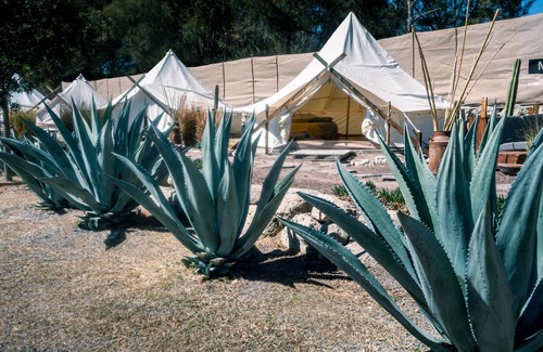 San Miguel de Allende Otro | Nomada Glamping - San Miguel de Allende X NANTLI LIVING