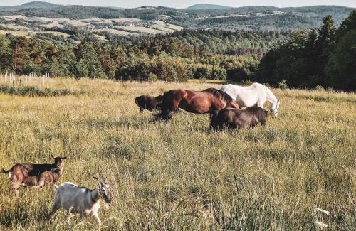 Zagorz Casa | Nomads' Hill - dom z widokiem na góry