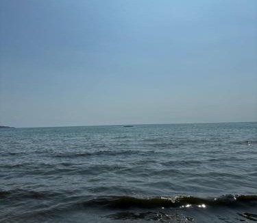 Jasienow Apartamento | NomeruOdesa