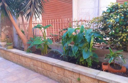 Capri Leone Cama Y Desayuno | Nonna Sicilia B&B