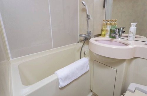 Nakajimakoen Hotel | Nonsmoking Double room with shared bed Room on / Sapporo Hokkaidō