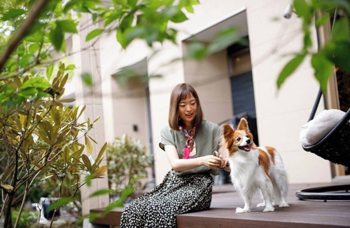 Kitasaku-gun Casa | Nonsmoking Japanese maple PET OK The heart of / Kitasakugun Nagano