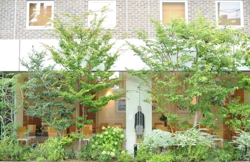 Ryuga Onsen Hotel | Nonsmoking single for 2 people Breakfast include / Kochi Kōchi