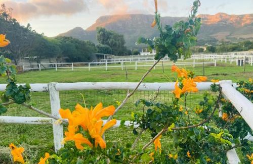 Noordhoek Casa | Noordhoek Lookout